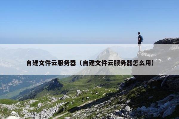 自建文件云服务器（自建文件云服务器怎么用）