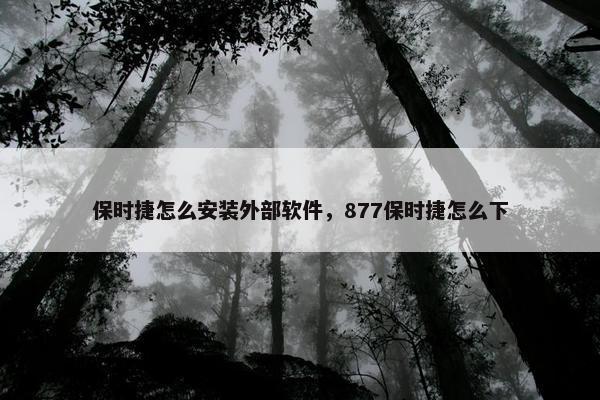 保时捷怎么安装外部软件，877保时捷怎么下