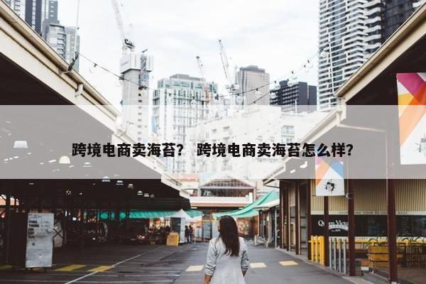 跨境电商卖海苔？ 跨境电商卖海苔怎么样？