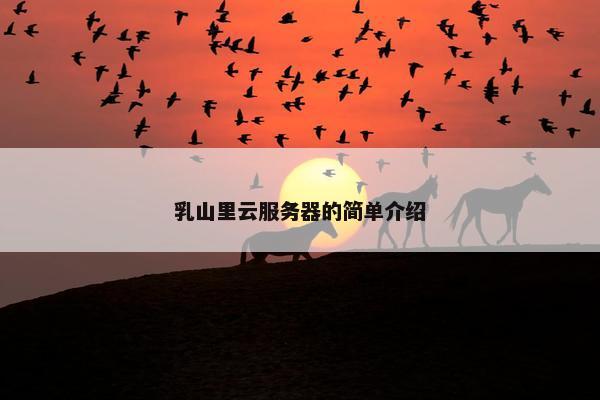 乳山里云服务器的简单介绍