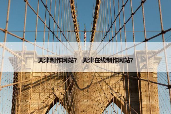 天津制作网站？ 天津在线制作网站？
