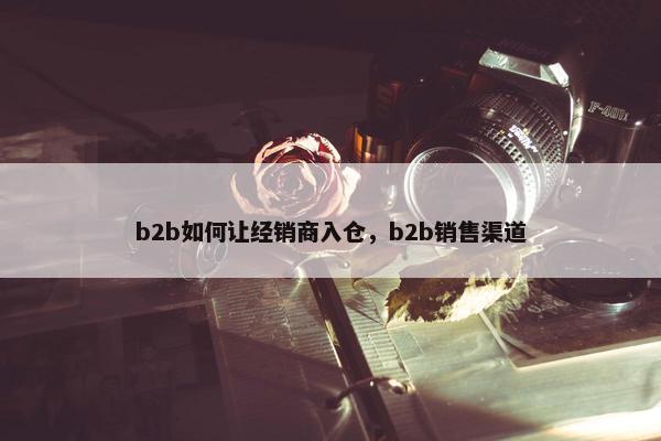 b2b如何让经销商入仓，b2b销售渠道