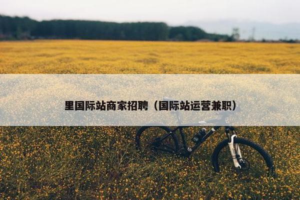 里国际站商家招聘（国际站运营兼职）