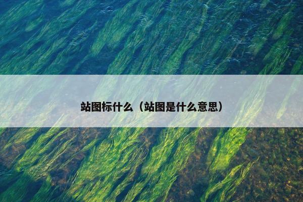 站图标什么（站图是什么意思）