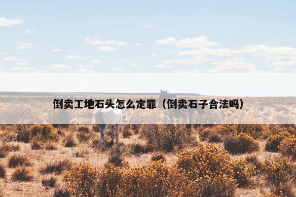 倒卖工地石头怎么定罪（倒卖石子合法吗）