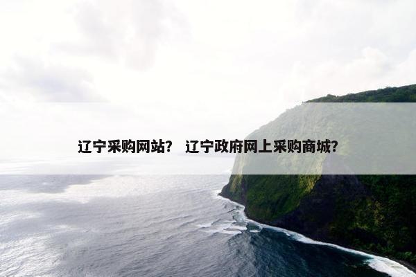 辽宁采购网站？ 辽宁政府网上采购商城？