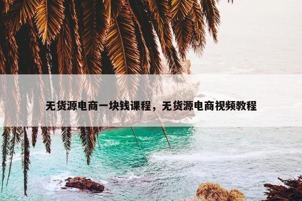 无货源电商一块钱课程，无货源电商视频教程