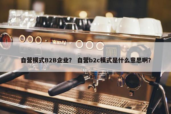 自营模式B2B企业？ 自营b2c模式是什么意思啊？