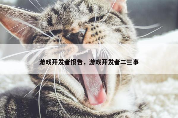 游戏开发者报告，游戏开发者二三事