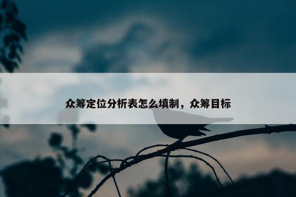 众筹定位分析表怎么填制，众筹目标