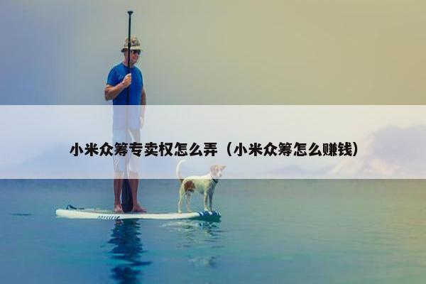小米众筹专卖权怎么弄（小米众筹怎么赚钱）