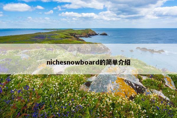 nichesnowboard的简单介绍