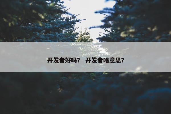 开发者好吗？ 开发者啥意思？