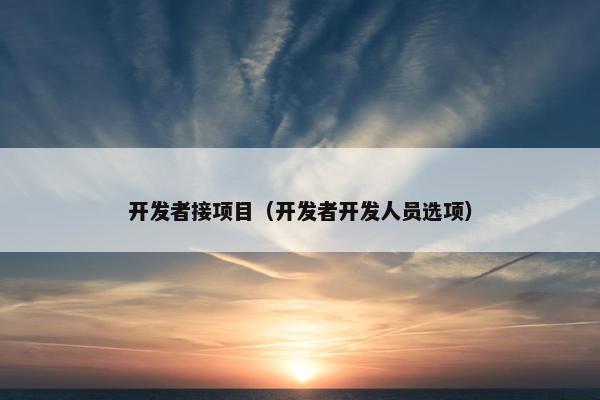 开发者接项目（开发者开发人员选项）