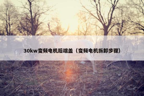 30kw变频电机后端盖（变频电机拆卸步骤）