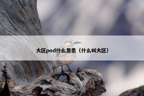 大区pod什么意思（什么叫大区）