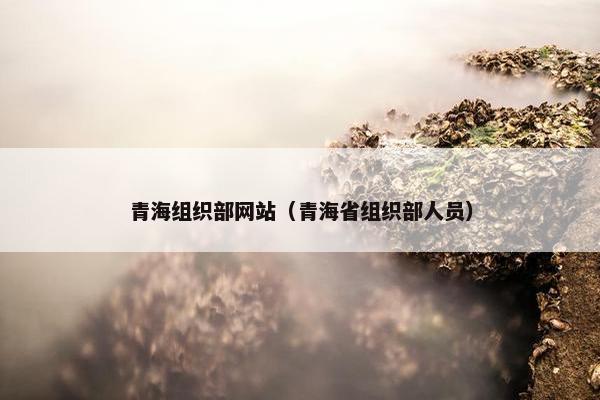 青海组织部网站（青海省组织部人员）