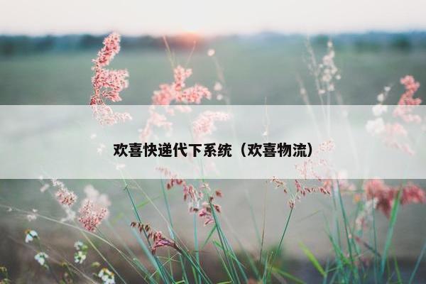 欢喜快递代下系统（欢喜物流）