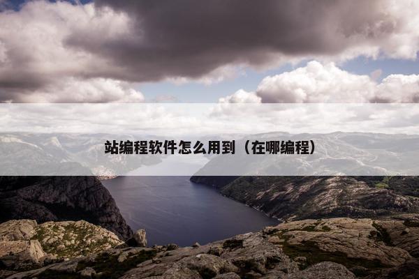 站编程软件怎么用到（在哪编程）