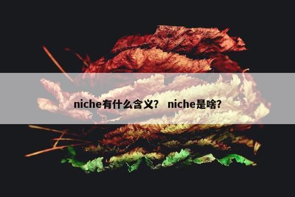niche有什么含义？ niche是啥？