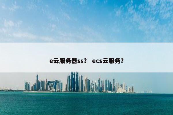 e云服务器ss？ ecs云服务？