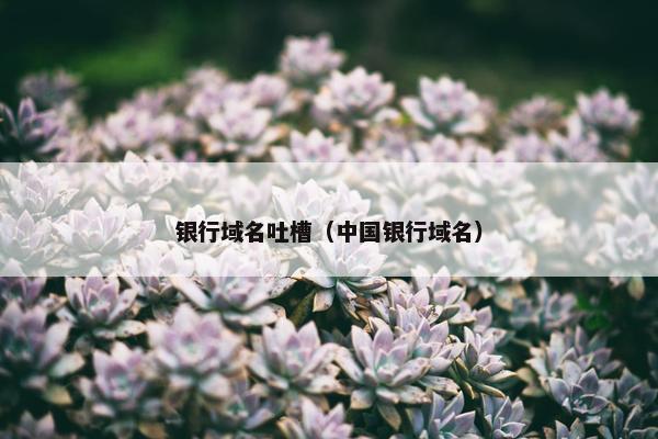 银行域名吐槽（中国银行域名）