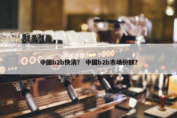 中国b2b快消？ 中国b2b市场份额？