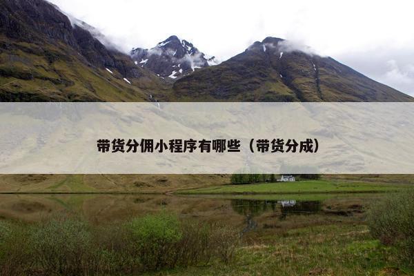 带货分佣小程序有哪些（带货分成）