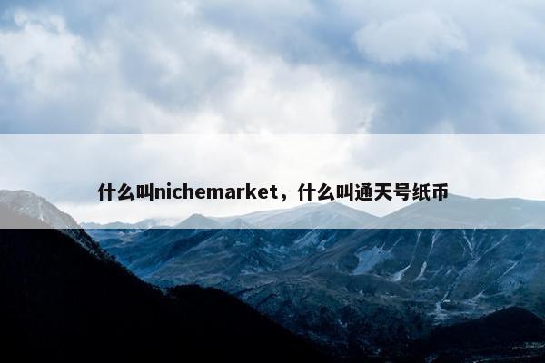 什么叫nichemarket，什么叫通天号纸币