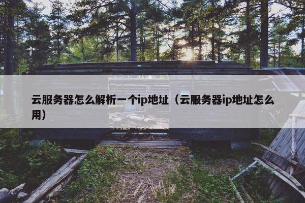 云服务器怎么解析一个ip地址（云服务器ip地址怎么用）