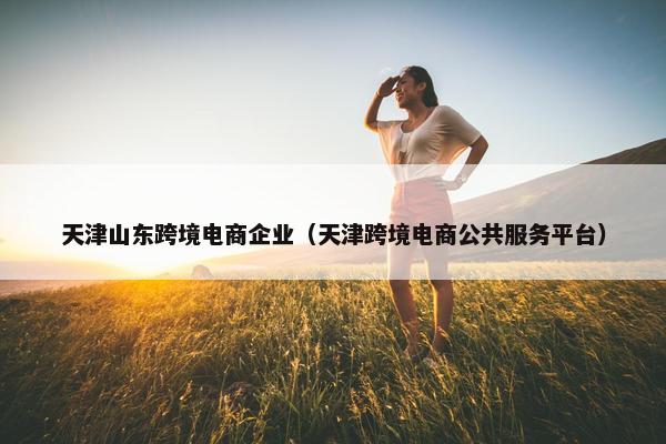 天津山东跨境电商企业（天津跨境电商公共服务平台）