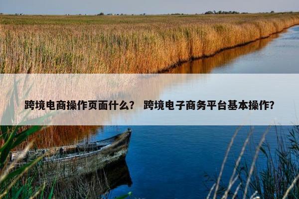 跨境电商操作页面什么？ 跨境电子商务平台基本操作？