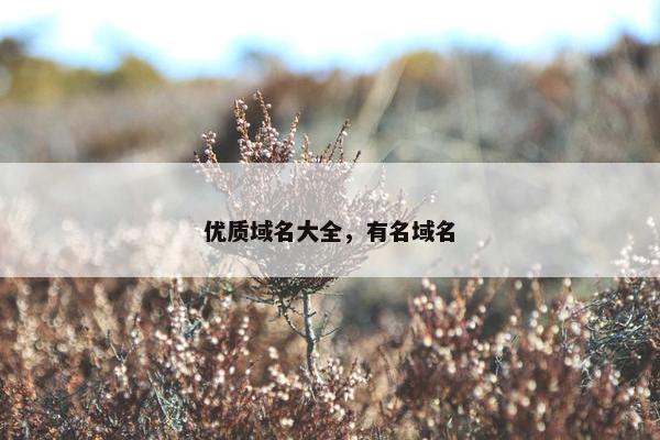 优质域名大全，有名域名