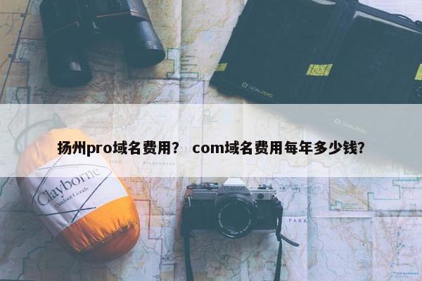 扬州pro域名费用？ com域名费用每年多少钱？