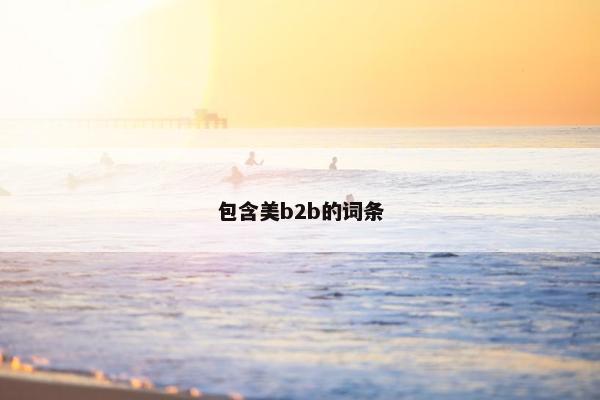 包含美b2b的词条