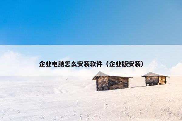 企业电脑怎么安装软件（企业版安装）