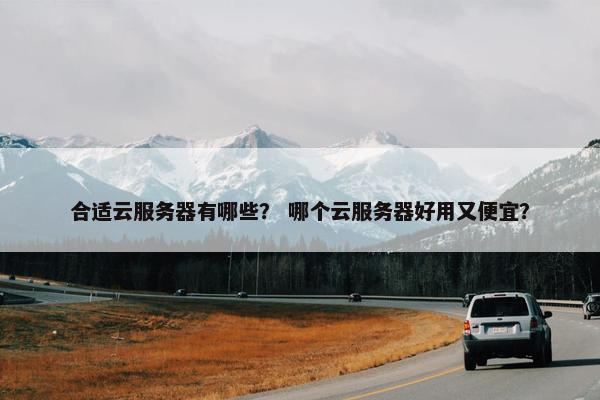 合适云服务器有哪些？ 哪个云服务器好用又便宜？