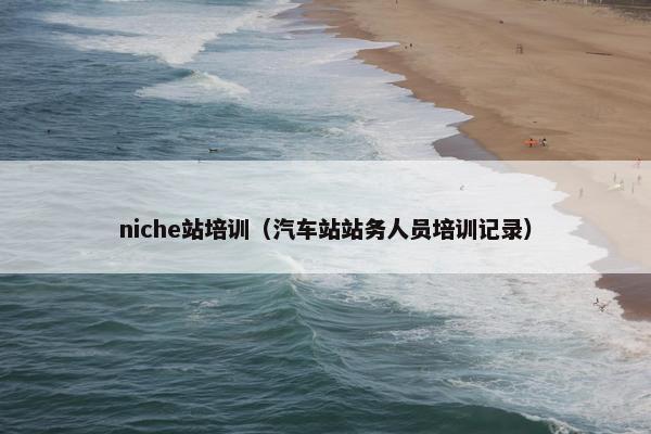 niche站培训（汽车站站务人员培训记录）