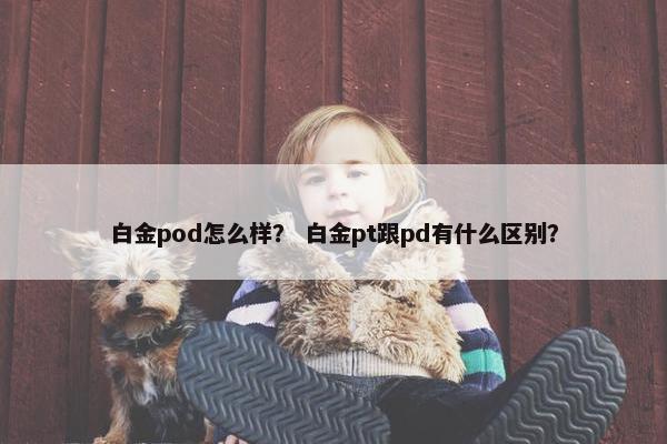 白金pod怎么样？ 白金pt跟pd有什么区别？