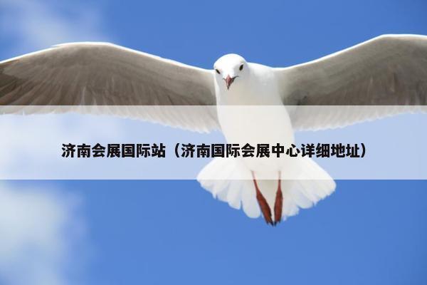 济南会展国际站（济南国际会展中心详细地址）