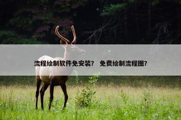 流程绘制软件免安装？ 免费绘制流程图？