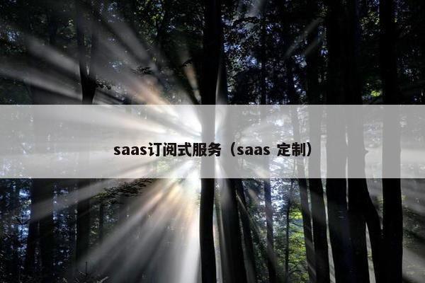 saas订阅式服务（saas 定制）