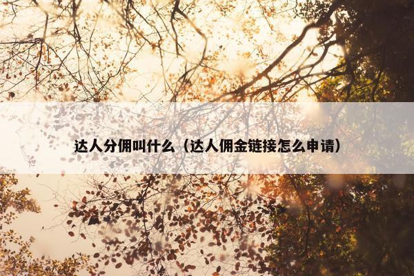 达人分佣叫什么（达人佣金链接怎么申请）