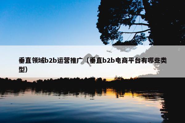 垂直领域b2b运营推广（垂直b2b电商平台有哪些类型）