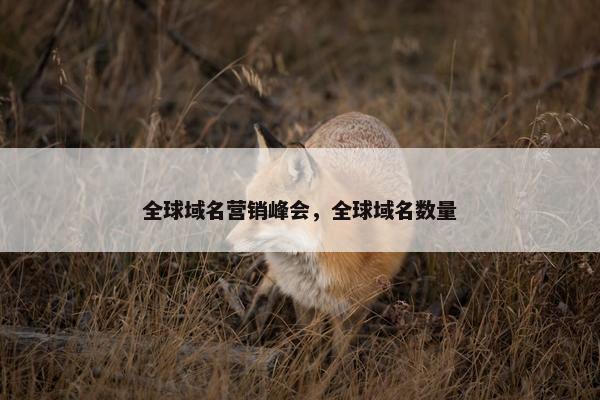 全球域名营销峰会，全球域名数量