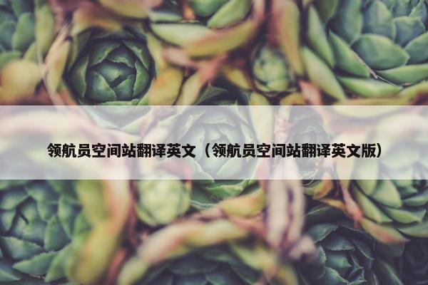 领航员空间站翻译英文（领航员空间站翻译英文版）