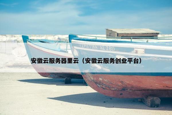 安徽云服务器里云（安徽云服务创业平台）