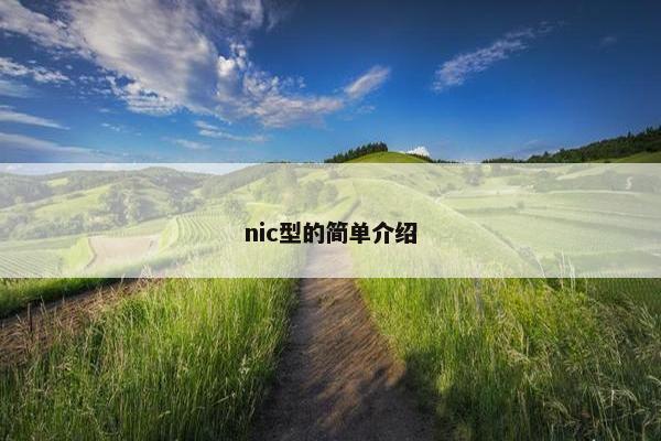 nic型的简单介绍