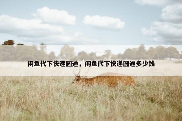 闲鱼代下快递圆通，闲鱼代下快递圆通多少钱