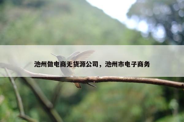 池州做电商无货源公司，池州市电子商务